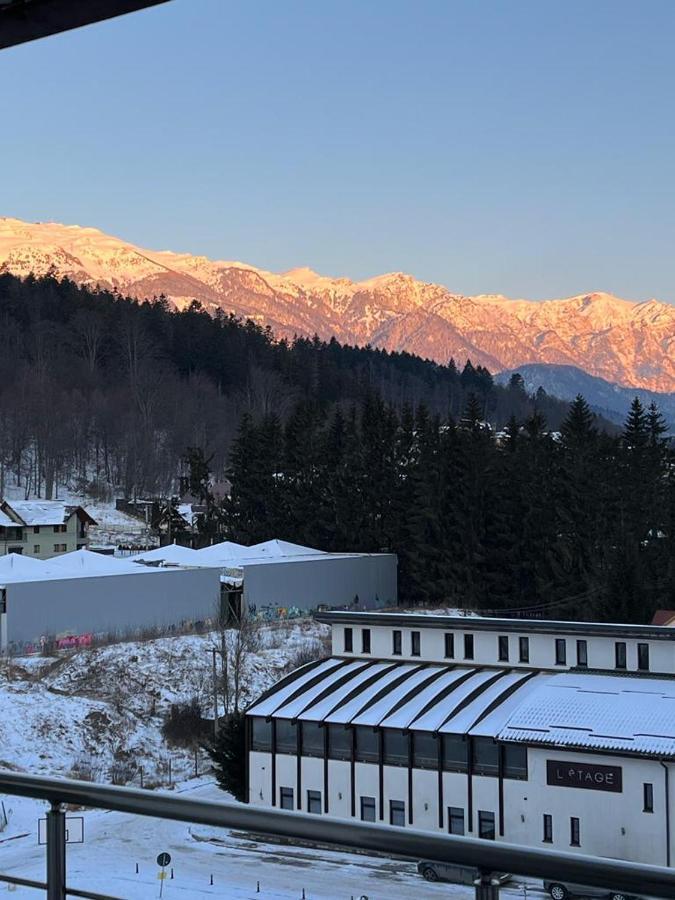 Coca Apart Mountain View Sinaia Luaran gambar