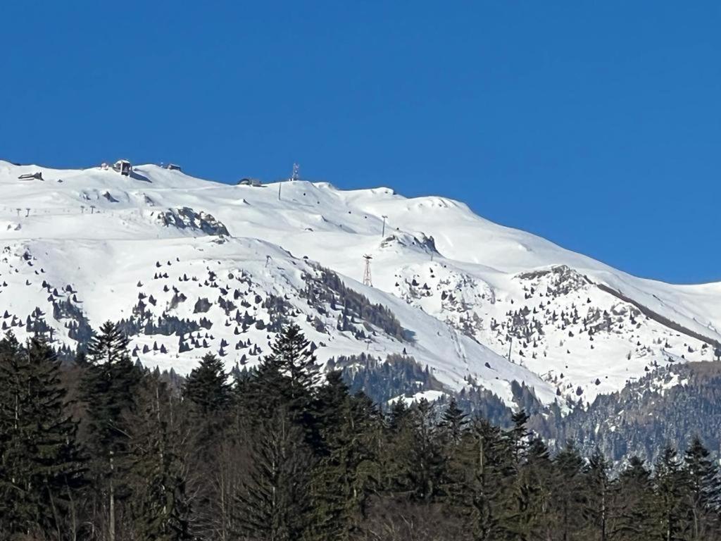 Coca Apart Mountain View Sinaia Luaran gambar