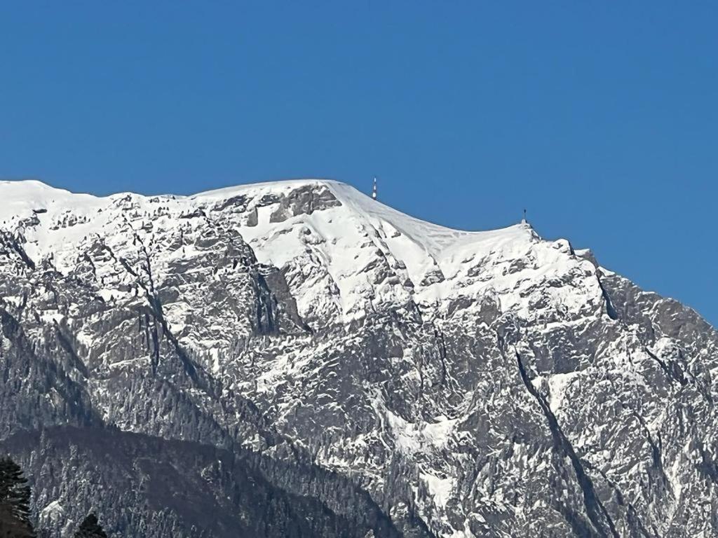 Coca Apart Mountain View Sinaia Luaran gambar