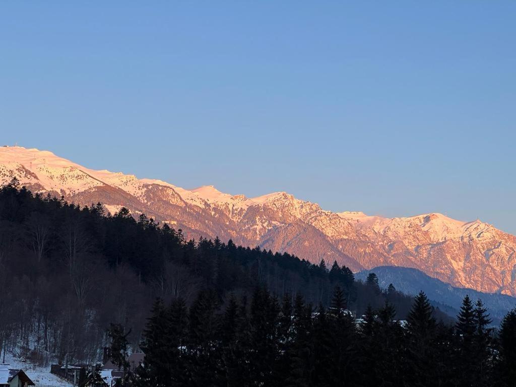 Coca Apart Mountain View Sinaia Luaran gambar