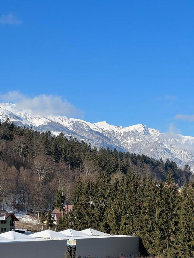 Coca Apart Mountain View Sinaia Luaran gambar