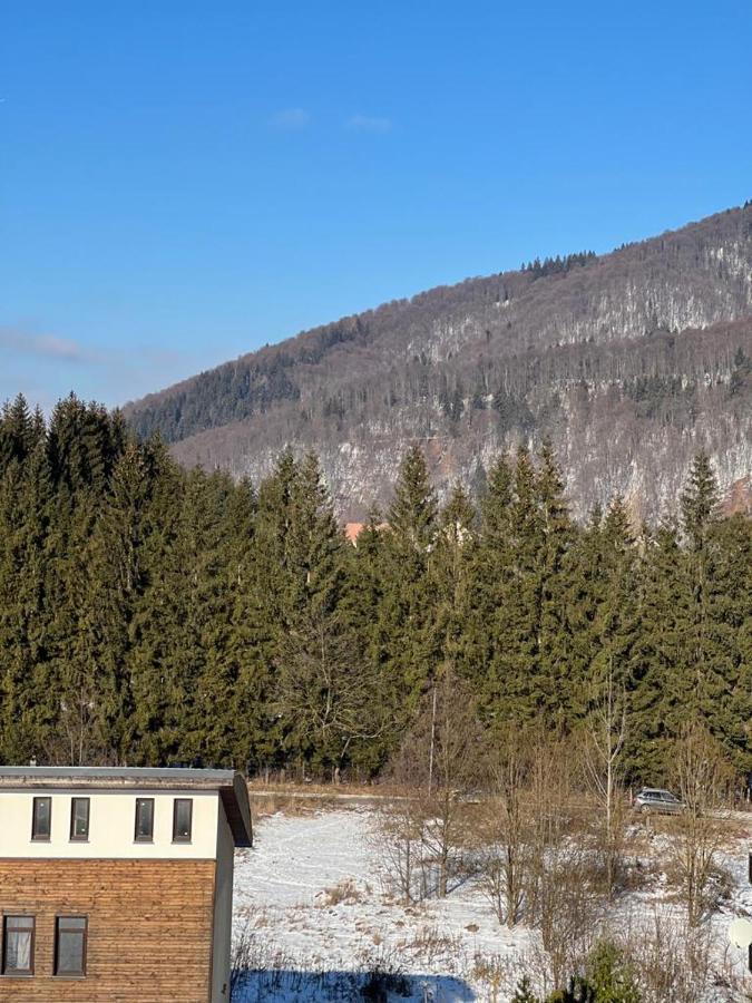 Coca Apart Mountain View Sinaia Luaran gambar