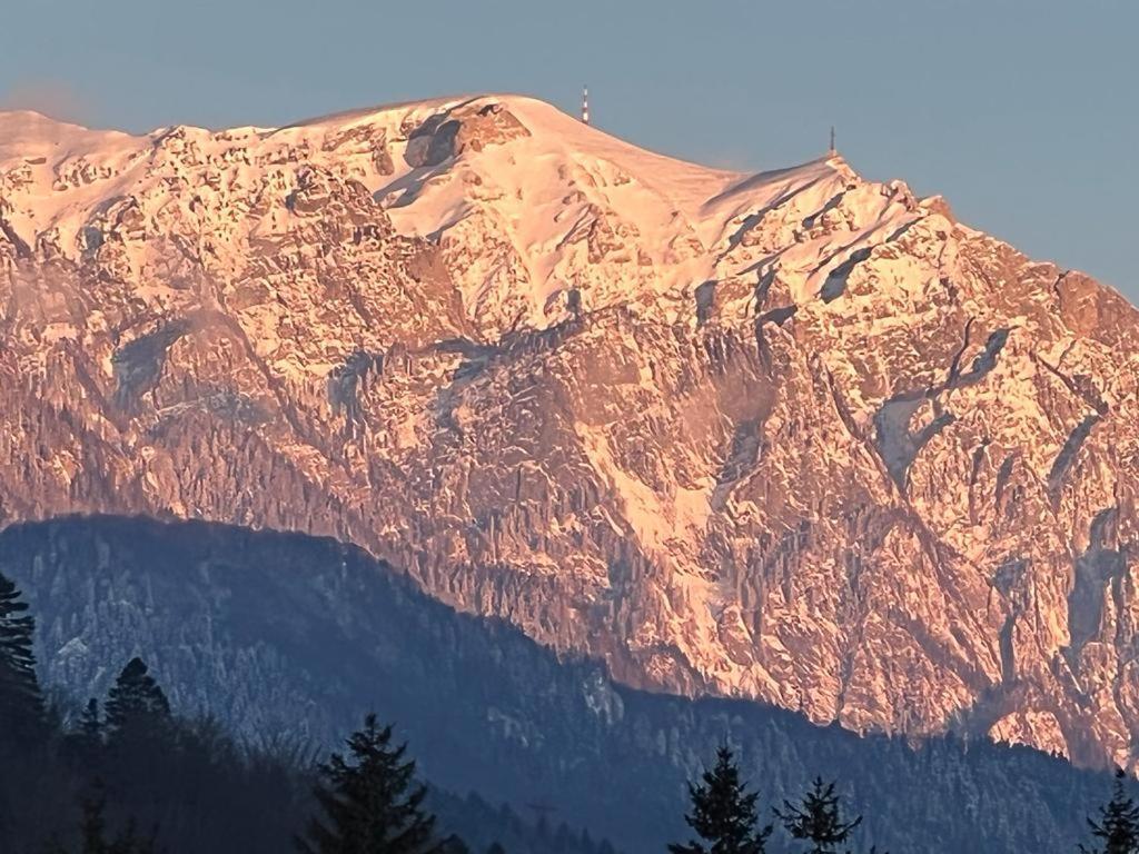 Coca Apart Mountain View Sinaia Luaran gambar