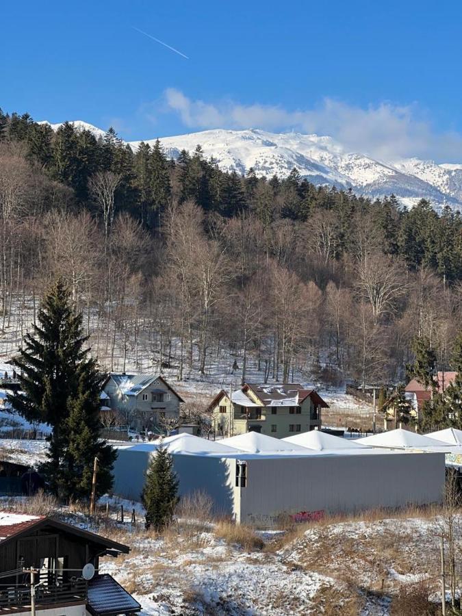Coca Apart Mountain View Sinaia Luaran gambar
