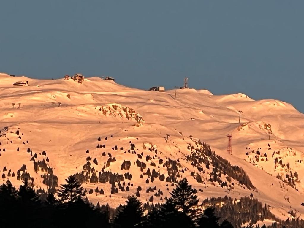 Coca Apart Mountain View Sinaia Luaran gambar